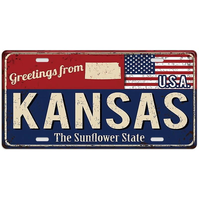 wholesale 15*30cm vintage retro decorative funny metal tin sign Design  mplaque vintage metal tin sign Custom License Plate