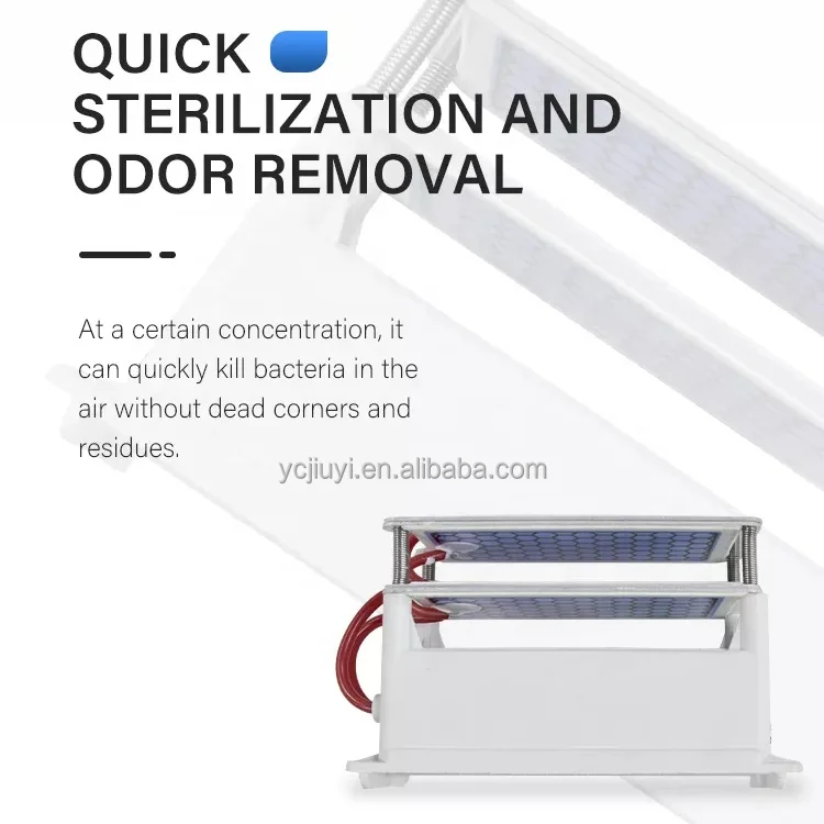 5G 10g Ceramic Plate Ozone Air Purifier Ozone Steriliser Air Ozone Generator Eliminates Odors For Kitchen Office Warehouse