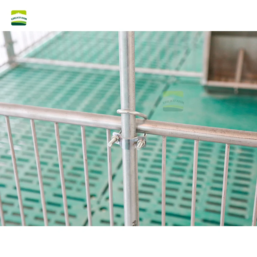 Оцинкованный поросенок из нержавеющей стали для свинофермы