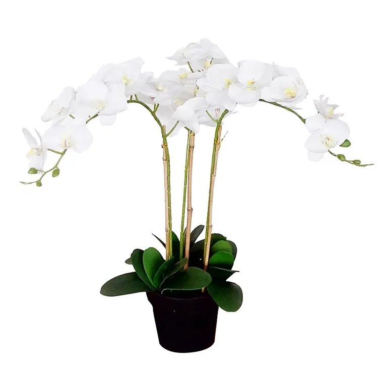 Hot Sell  Artificial butterfly orchid flower for home decor