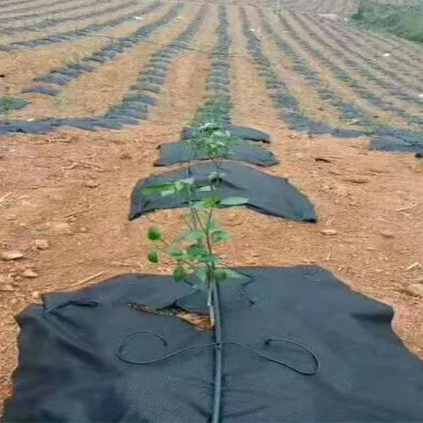pp polypropylene spunbond non woven fabric pp spunboned agriculture black nonwoven film agriculture anti grass cloth