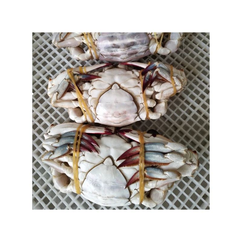 Delicious Healthy Food Swimming Crab Seafood Frozen Crabs With Roe
