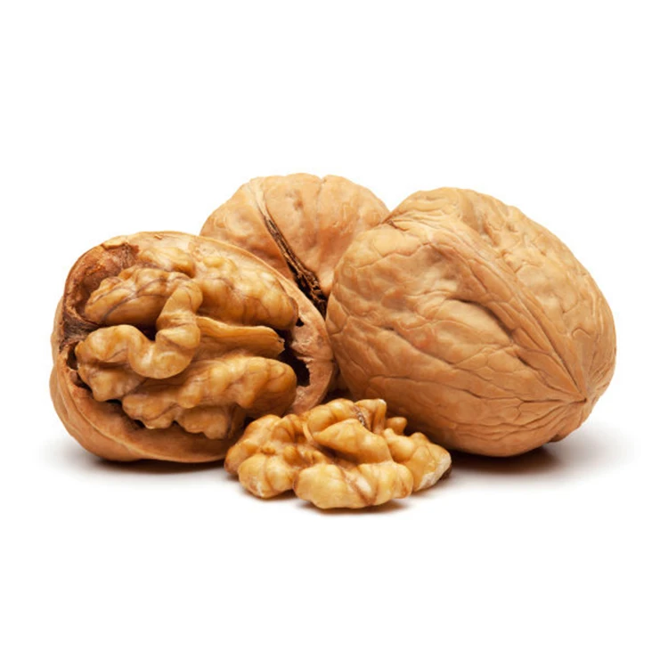 
Золотой производитель сухих фруктовых грецких орехов в скорлупе 