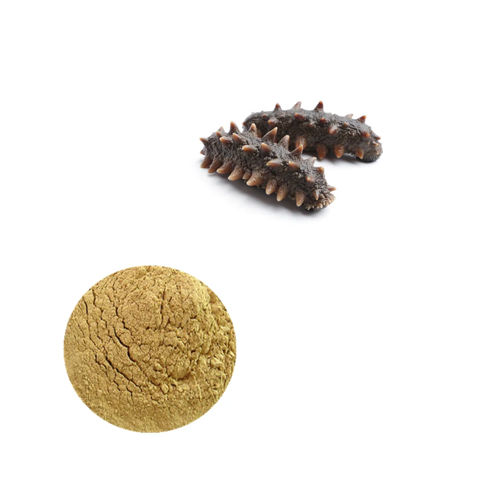 
Sea cucumber extract 15% protein, 20% polysaccharide 