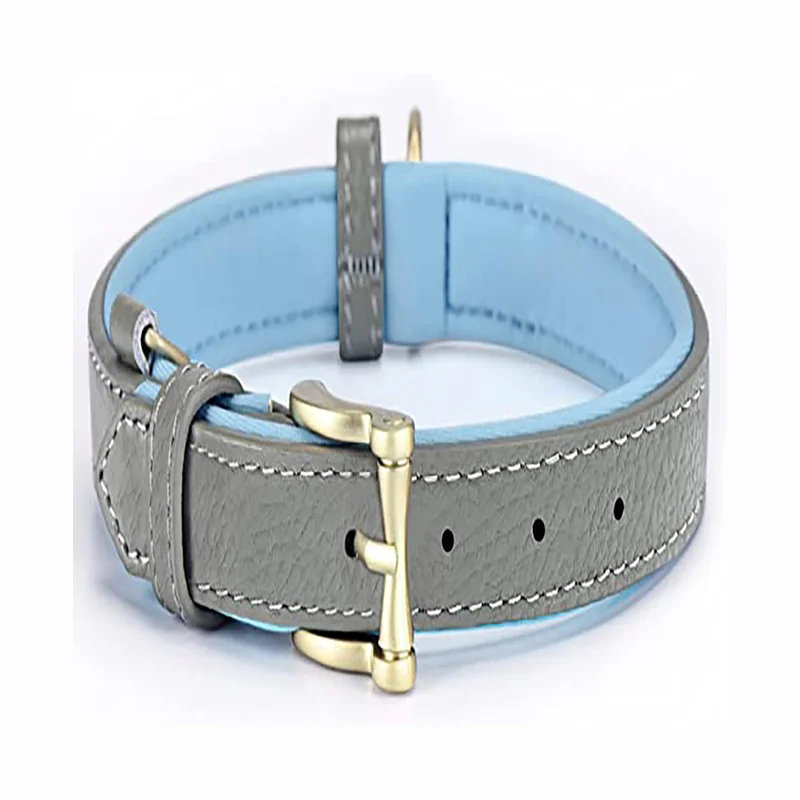Genuine Leather Neoprene Dog Collar With Classic Soft Padded Stylish Breathable for Small Medium Large Dog Cat Pet