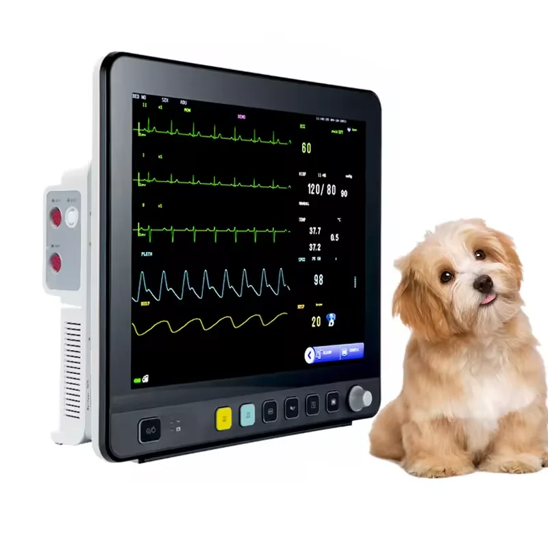 15 inch portable veterinary monitor custom pet vital signs vet monitor with stand blood pressure SPO2 ECG NIBP