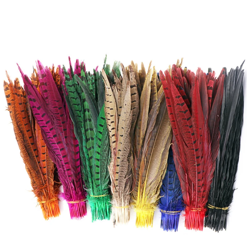 Wholesale Natural Plumas Ringneck Pheasant Tail Feathers Pluma de Faisan