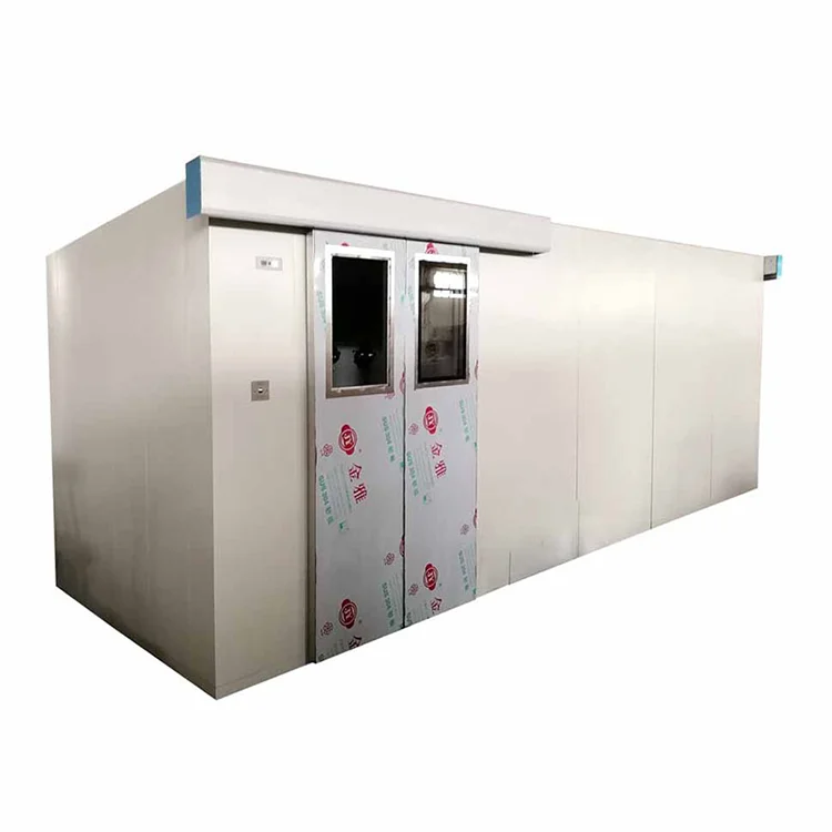 CE Standard Intelligent Air Shower Room for Clean Room