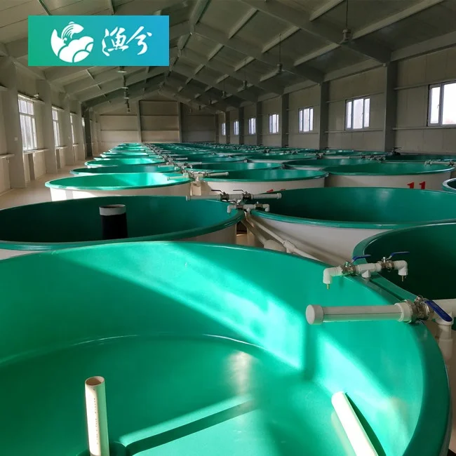 Indoor economy circulating water environment-friendly aquaculture system high-density shrimp system