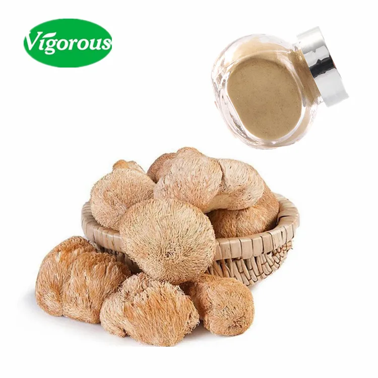 Organic pure natural Hericium erinaceus lions mane extract