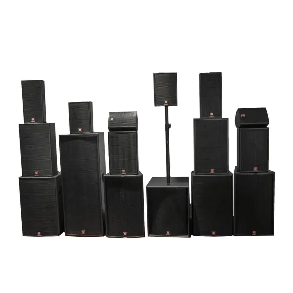 2000W Two-way Coaxial  Powered Full Range Speaker Dual 15 Inch Audio Sound Box Party Speakers