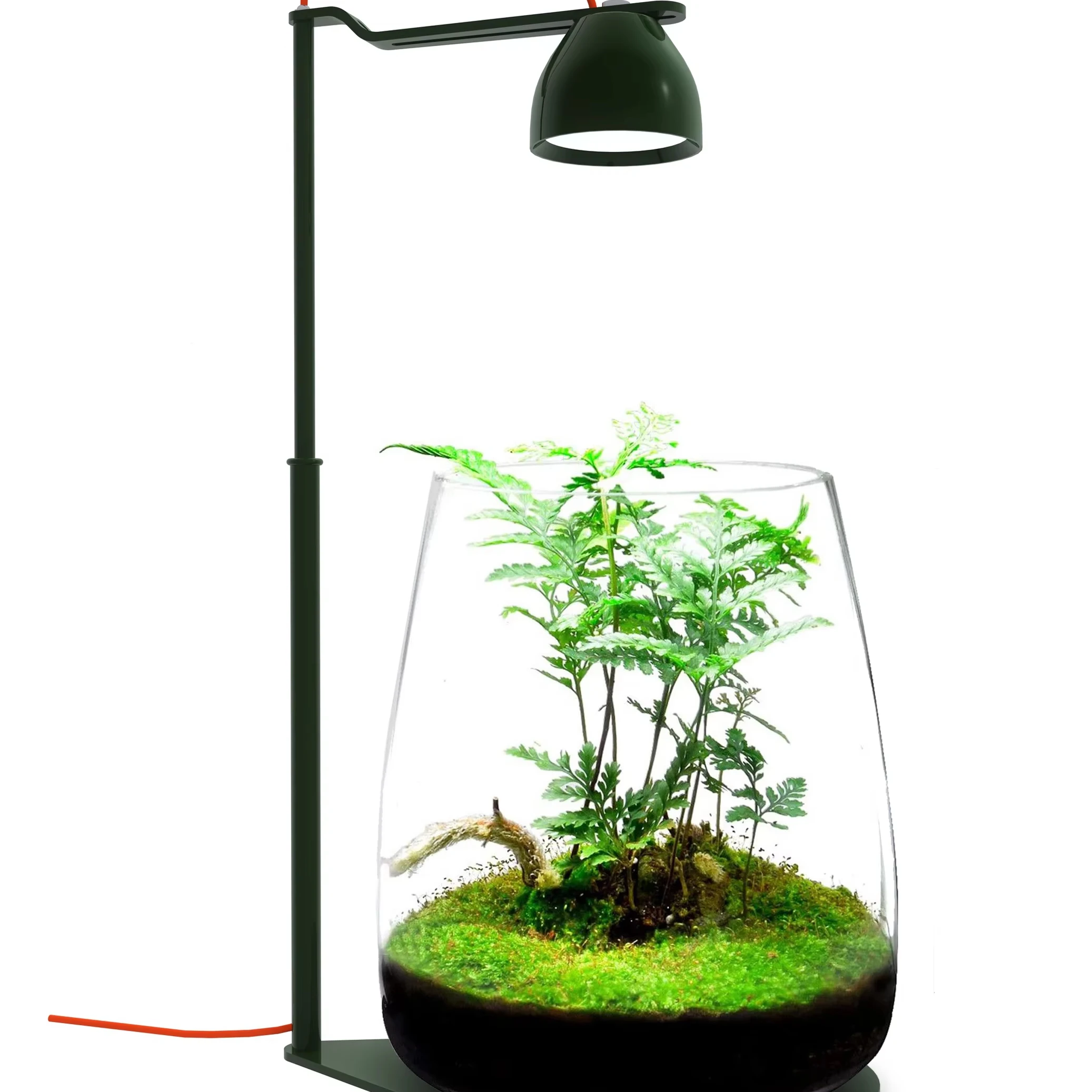 MicMol Micro-Scenery Ecological Lighting. Brand New-- DROP Desktop Micro-Scape