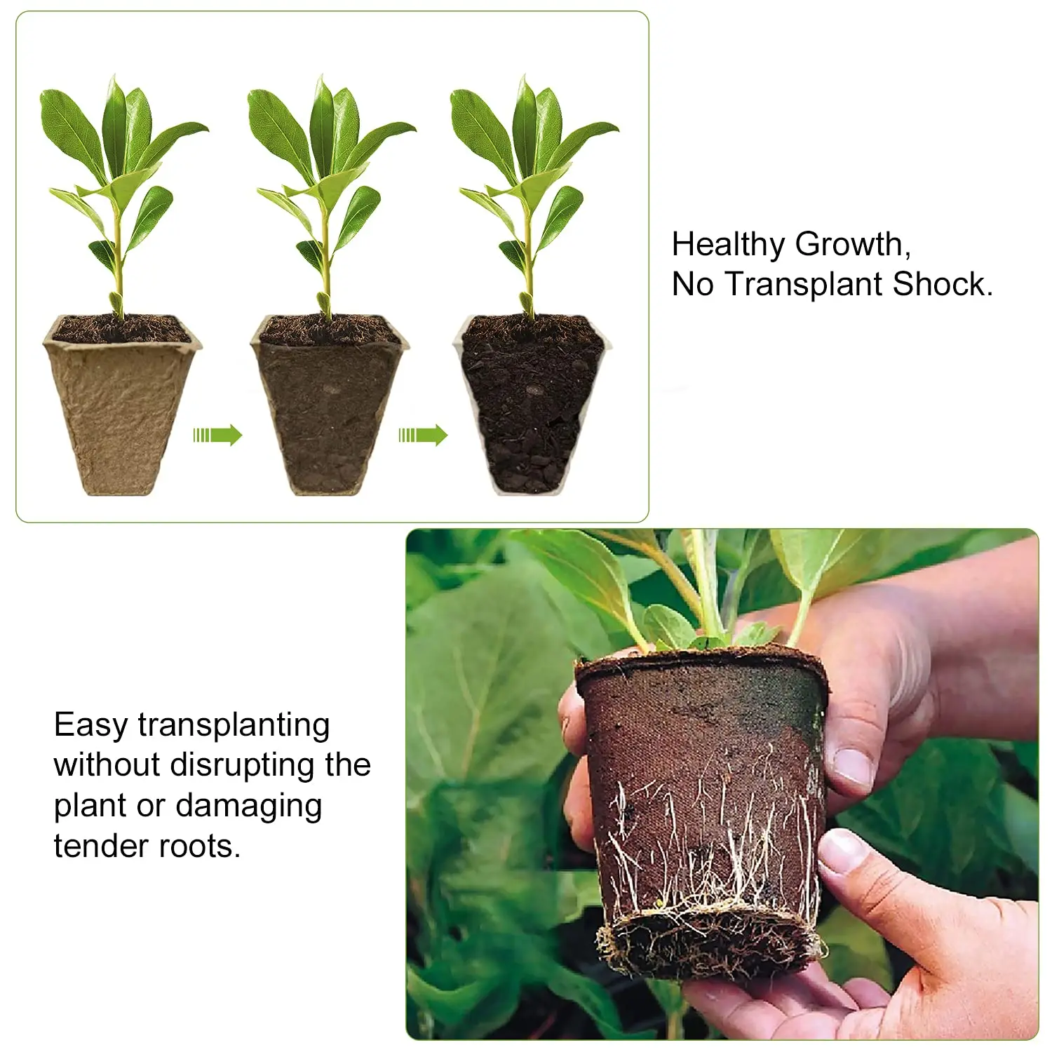  12 Pack Seed Peat Pots Vegetable Flower Biodegradable Seedling Trays Starter