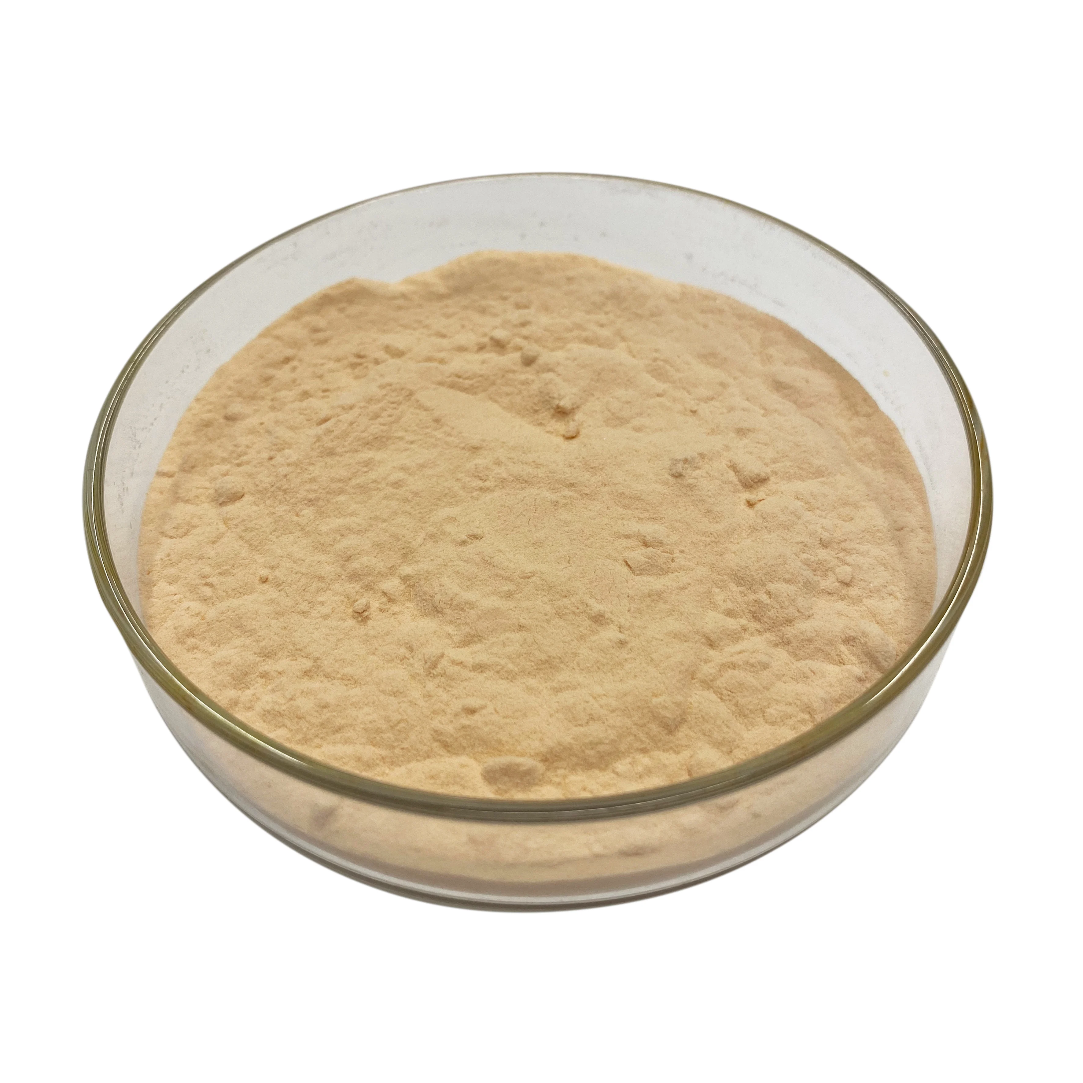 
Best price of grape seed extract 95% proanthocyanidins in Powder Water Soluble Grape Seed Extracts 