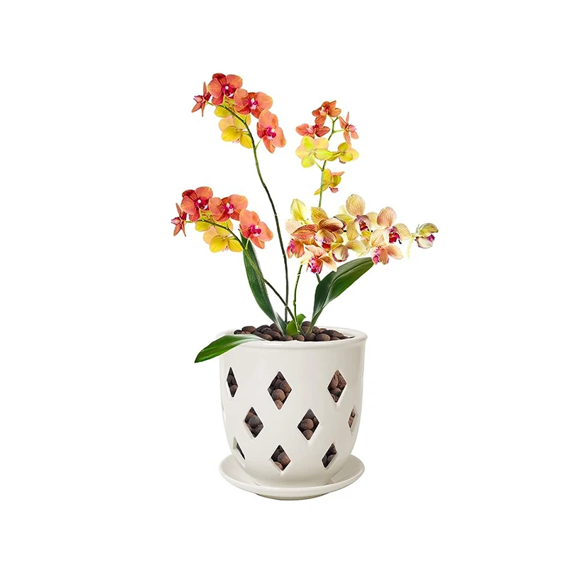 6 Inch Ceramic Pots with Saucer Decorative Flower Planter Rhombus Orchid Pot Holes for Dendrobium Oncidium Cattleya Repotting