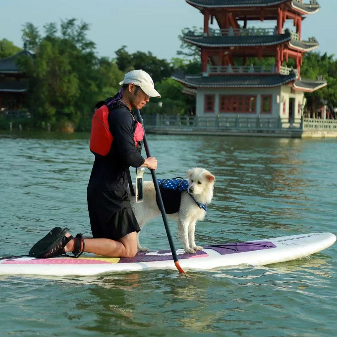 Wholesale New Design Solid Durable Plastic Sup Paddle Board All Skill Levels Hardshell Foam Hard Standing Standup Paddle Board