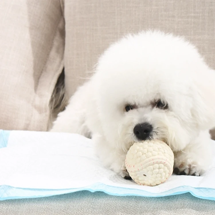 2025 Novel Design Reusable Dog Pads Super Absorb Disposable Diapers for Pet Training Grooming Free Sample Low Price Animal Use