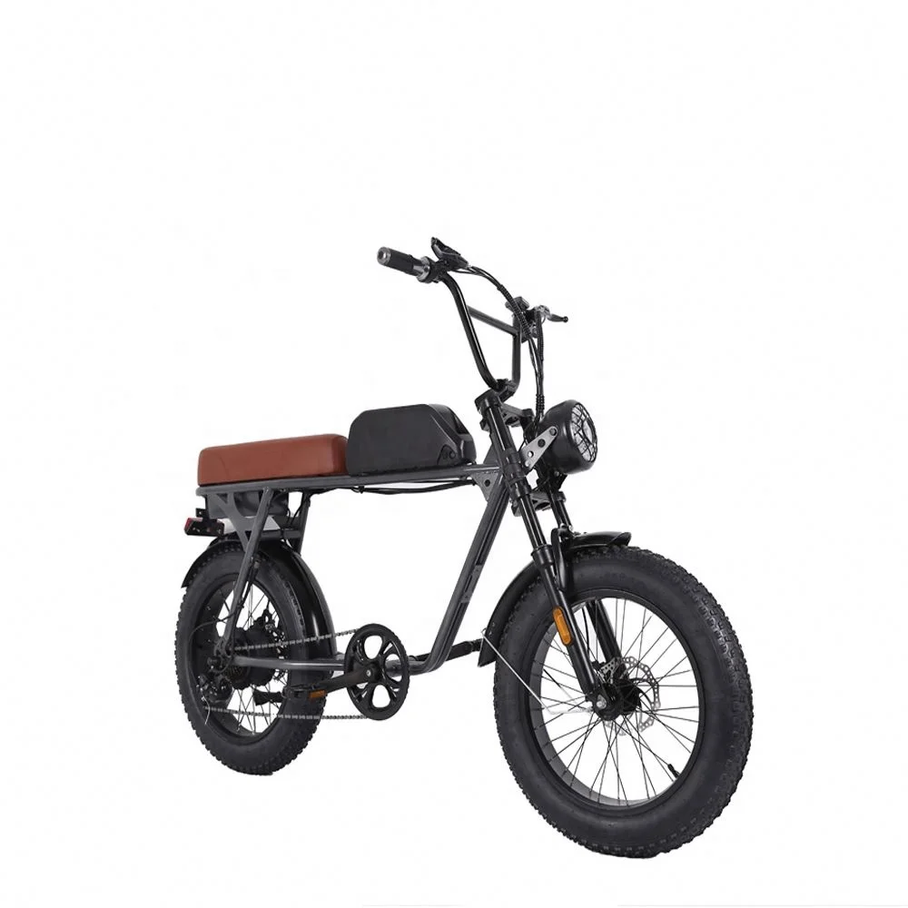 500W 750W 1000W Power 48V China Cheap Full Suspension Retro Vintage E Bike Ebike Dirt Mountain Fat Tire Bicycle Electric Bike