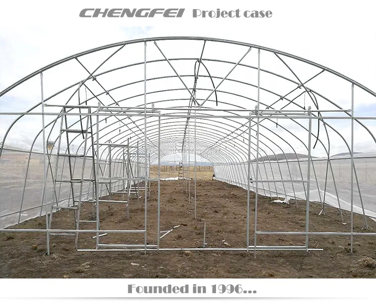Commercial single-span agricultural tunnel plastic film vegetable tomato greenhouses supplier