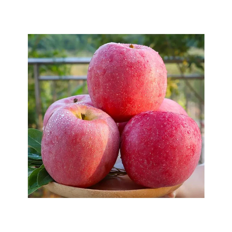Vitamins wholesale distributor fresh trade fruit fuji big apple from china