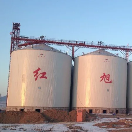Конус зерновой корзины для продажи 50t- 5000t с доном бункера из оцинкованной стали поставщики старых зерновых