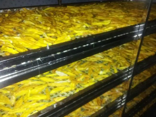 Hot Sales Belt Drying Machine vegetable Dryer dried  mango dryer