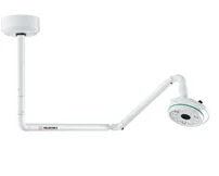 Wall-mounted medical examination lamp and surgical lamp for veterinary use in pet hospitals