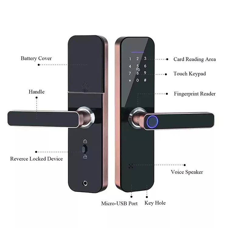 Factory Price Tuya TTlock Lock wifi biometric Intelligent electronic fingerprint smart locks