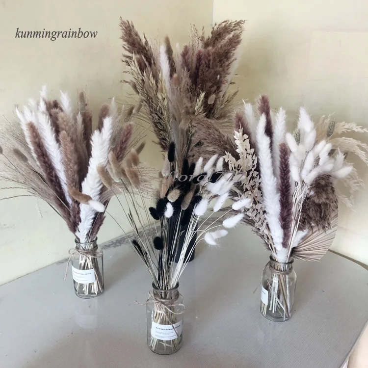 Home Wedding Decorative Bouquet Real Dried Reed Bunny Tail Pampas White Color Dried Natural Small Big Large Pampas Grass