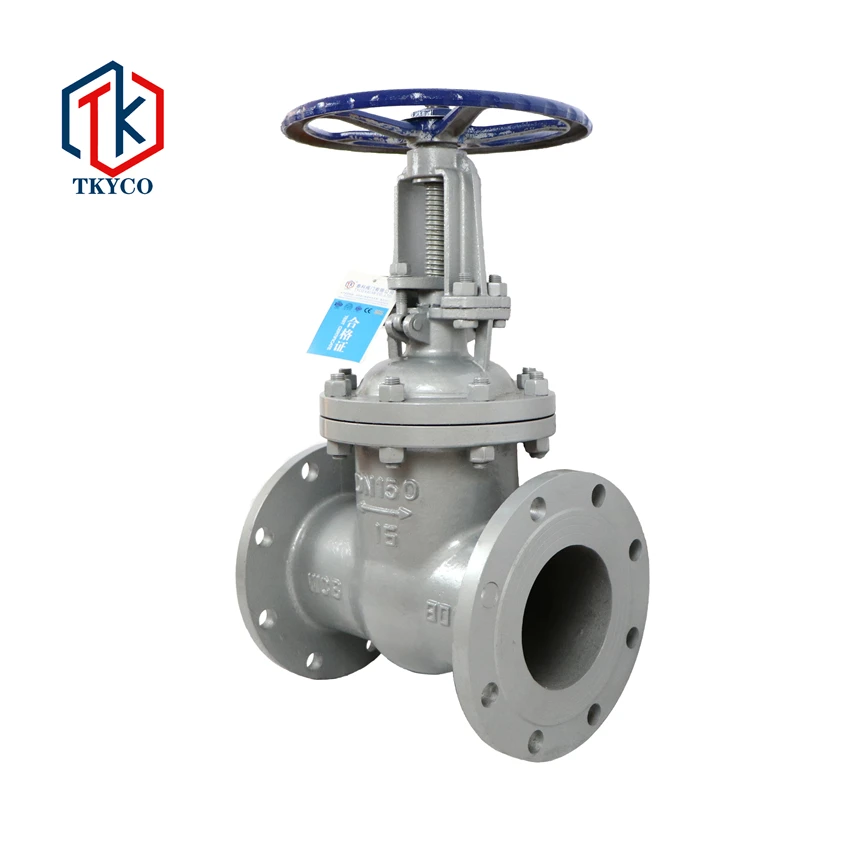 Taike China Manufacturer Cast Steel  Cast Iron Stainless Steel Flanged Gate Valve Prices