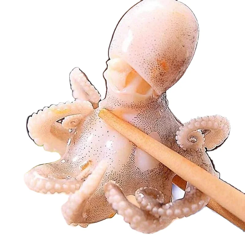 Frozen seafood octopus whole round export