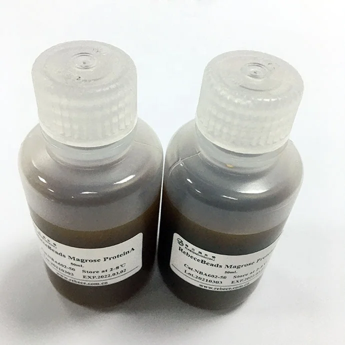  China Factory Supplied Top Quality Superparamagnetic Beads Protein A Extraction