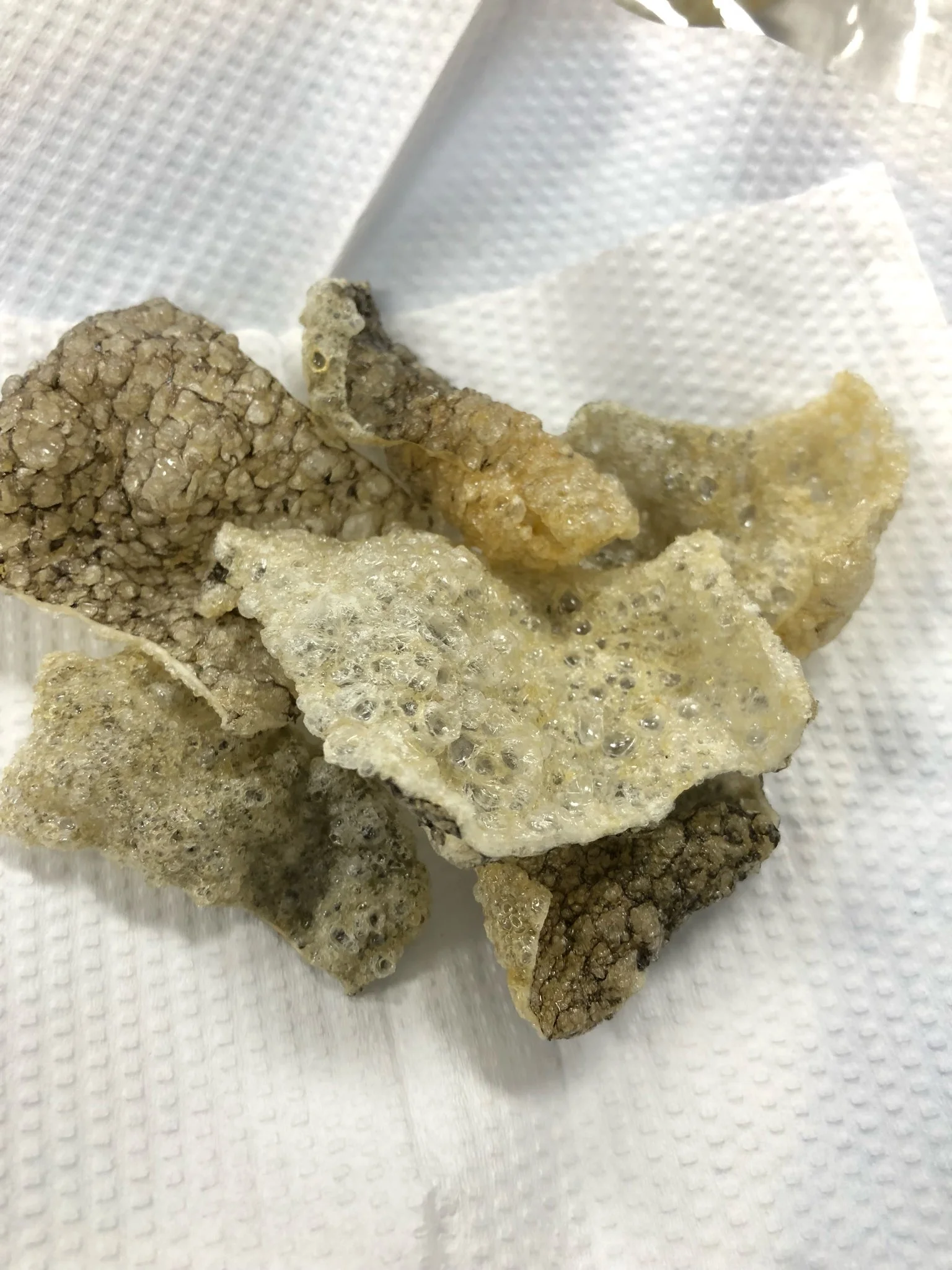 
FACTORY FRIED FISH SKIN - CRISPY FISH SKIN/ SNACK FISH SKIN FROM SALMON/ PANGASIUS BULK SO CHEAP FROM VIET NAM 