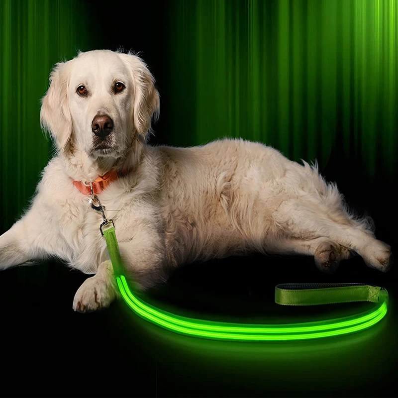Amazon Hot Selling New Custom USB Rechargeable Flashing Pet Dog Leash Night Walking Safety Dog Leash Led