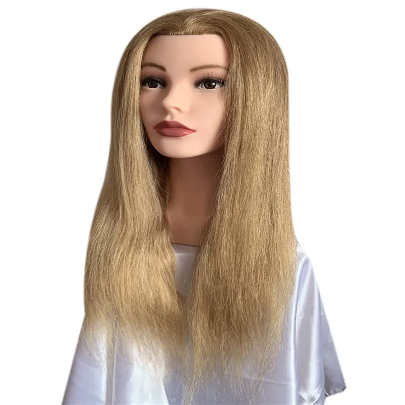Factory wholesale cheap 100% human hair cheap asian custom female hairdresser salon training head mannequin for beauty school