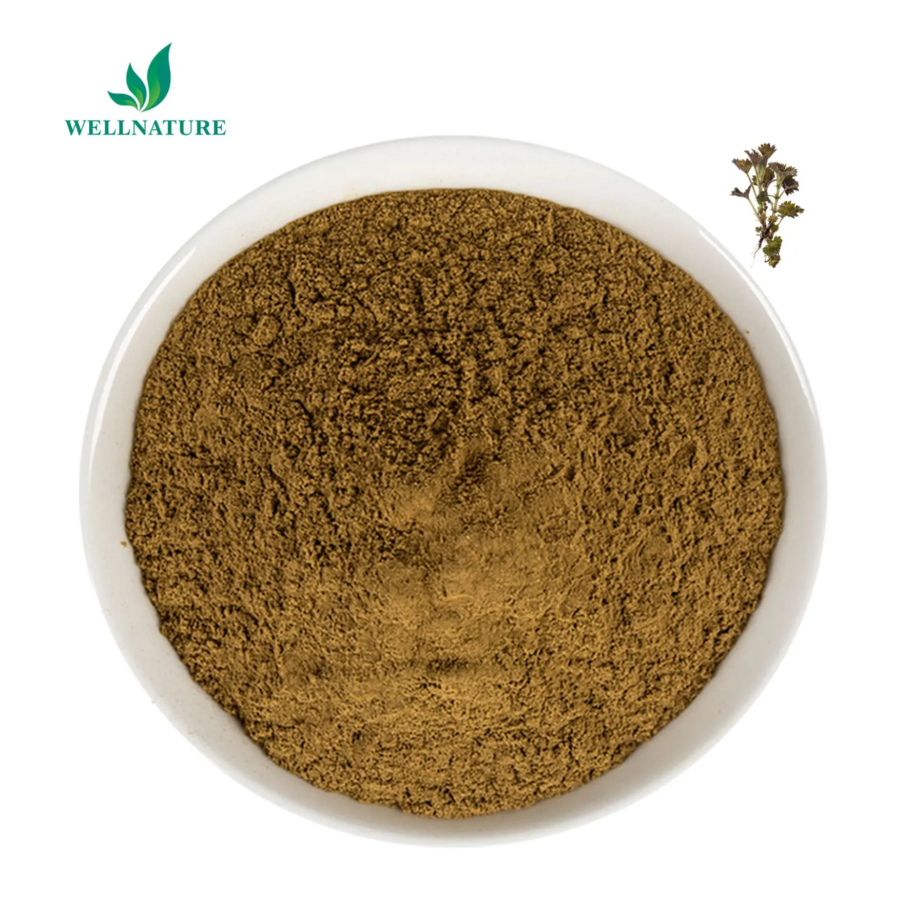 Nettle Root Extract USDA 100% Organic Natural Nettle Powder Stinging Nettle Root Extract 1% Beta Sitosterol Powder High Quality