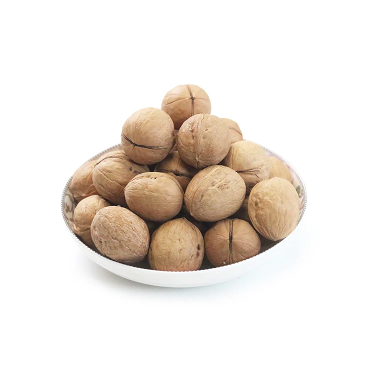 
 Most Popular Factory price Bulk packing walnut inshell thin-skinned walnut  