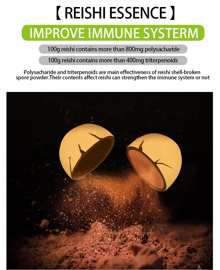 mushroom extract customized capsules polysaccharides10%-50%  triterpene1%- 10%
