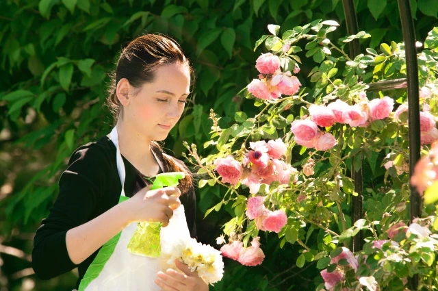 Vegetable liquid bio fertilizer production increases plant resistance