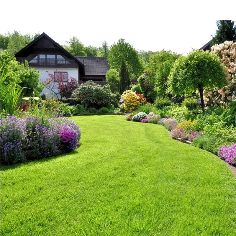 
New Arrival Grass Seeds Combination Lawn Garden Seeds For Landscape 