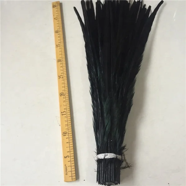 bleached and dyed 50-55cm ringneck pheasant tail feather