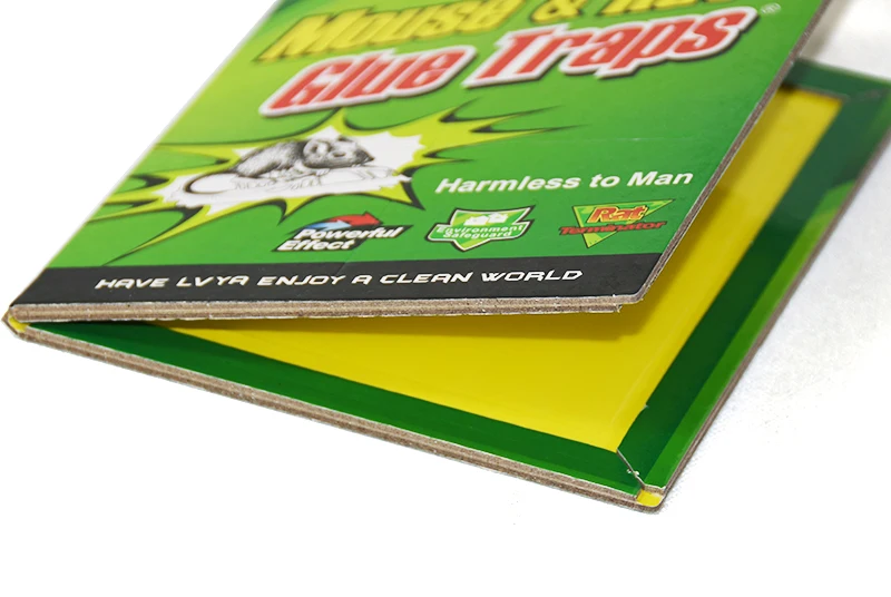 Wholesale Indoor/Outdoor Easy-to-Set Large Mouse Glue Traps Sticky Pest Control Rat Snake Cockroach Office Space US Sheet Size