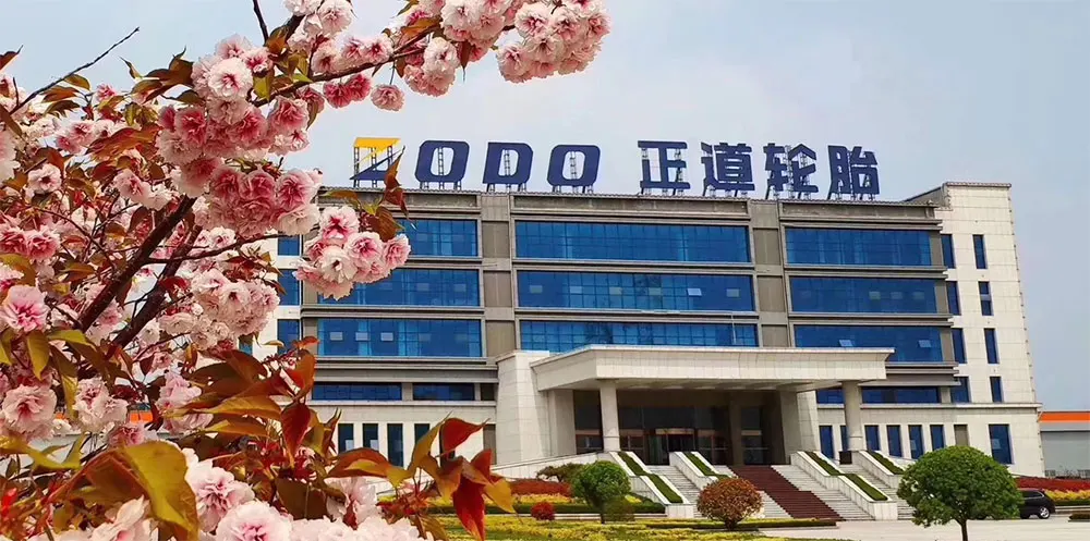 
Gold Supplier ZODO Wholesale Car Tires Van Tyres From China 