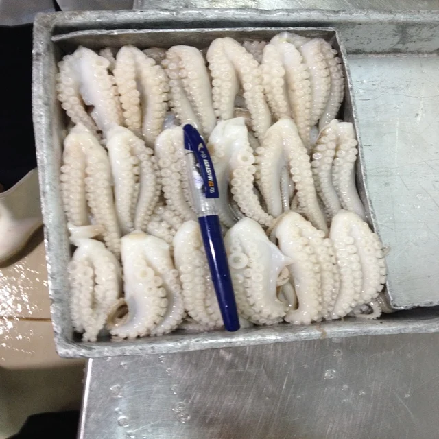 
FROZEN CUT POULP SQUID FROM VIET NAM 