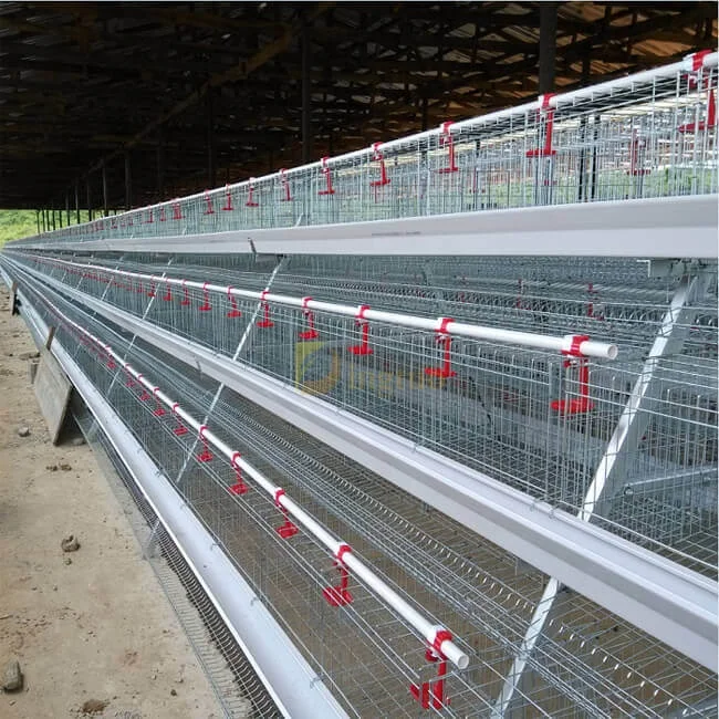 hot sales A H type 3 4 layers 5 doors chicken laying egg hot dipped galvanized iron broiler cages