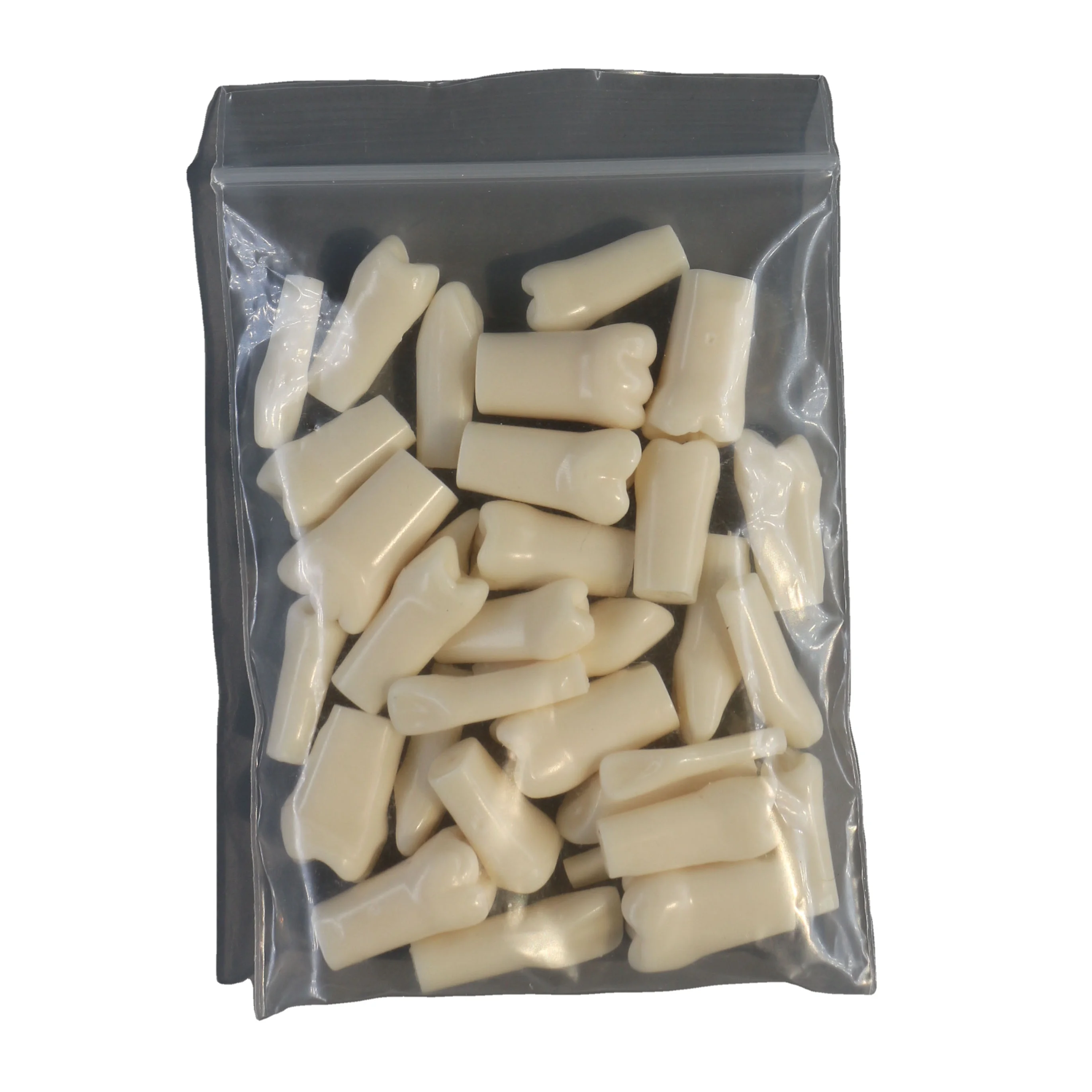 tipodonto dental nissin phantom teeth  typodont refills typodont teeth model dental implant model