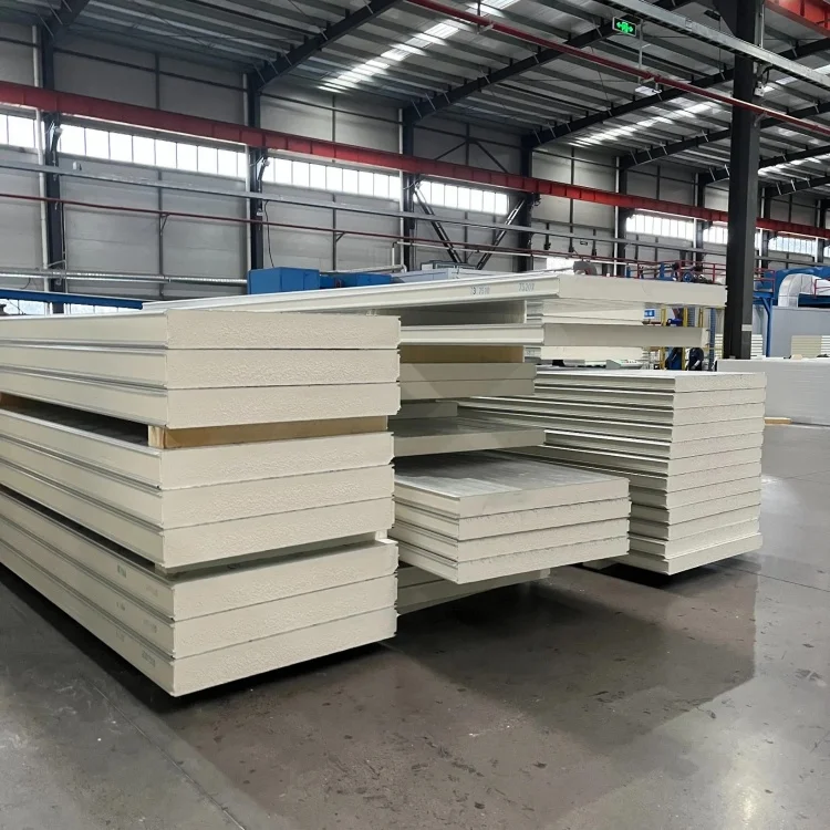 Cold Frozen Room Atmosphere Controlled Cold Storage Cold Room with Panel