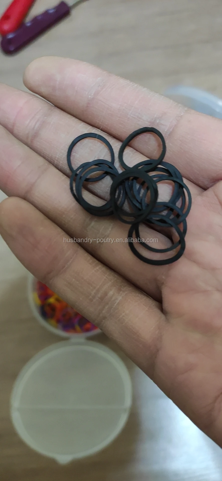 Equine Horse mane Bands and Bracelet for the horse