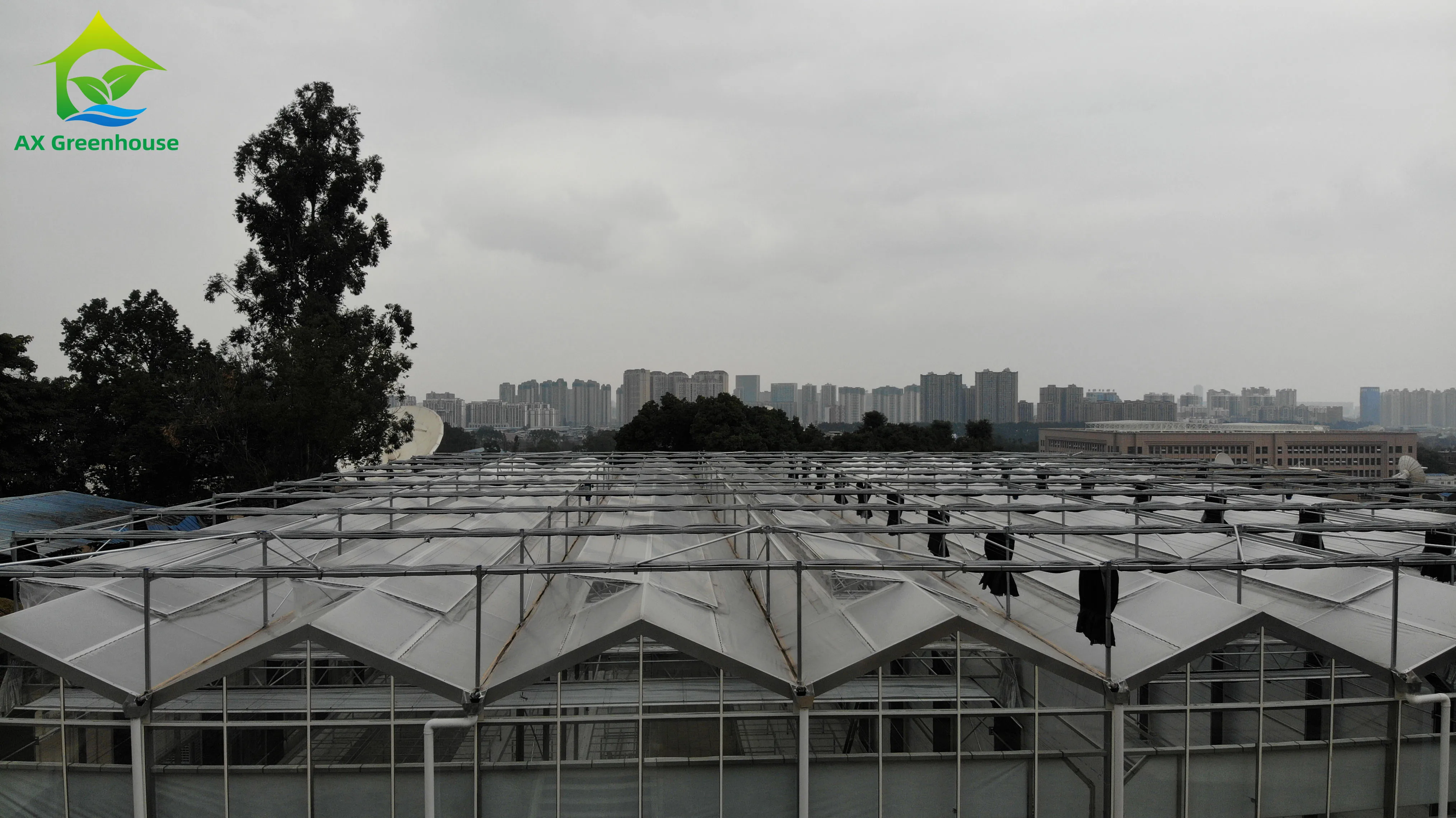 Agricultural greenhouses Smart full automatic multi-span blackout greenhouse Venlo glass green house with hydroponics system