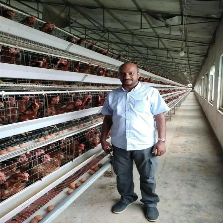 Cheap Chicken Layer Cage Price/Egg Laying Hens Cage/Chicken Cage For Sale